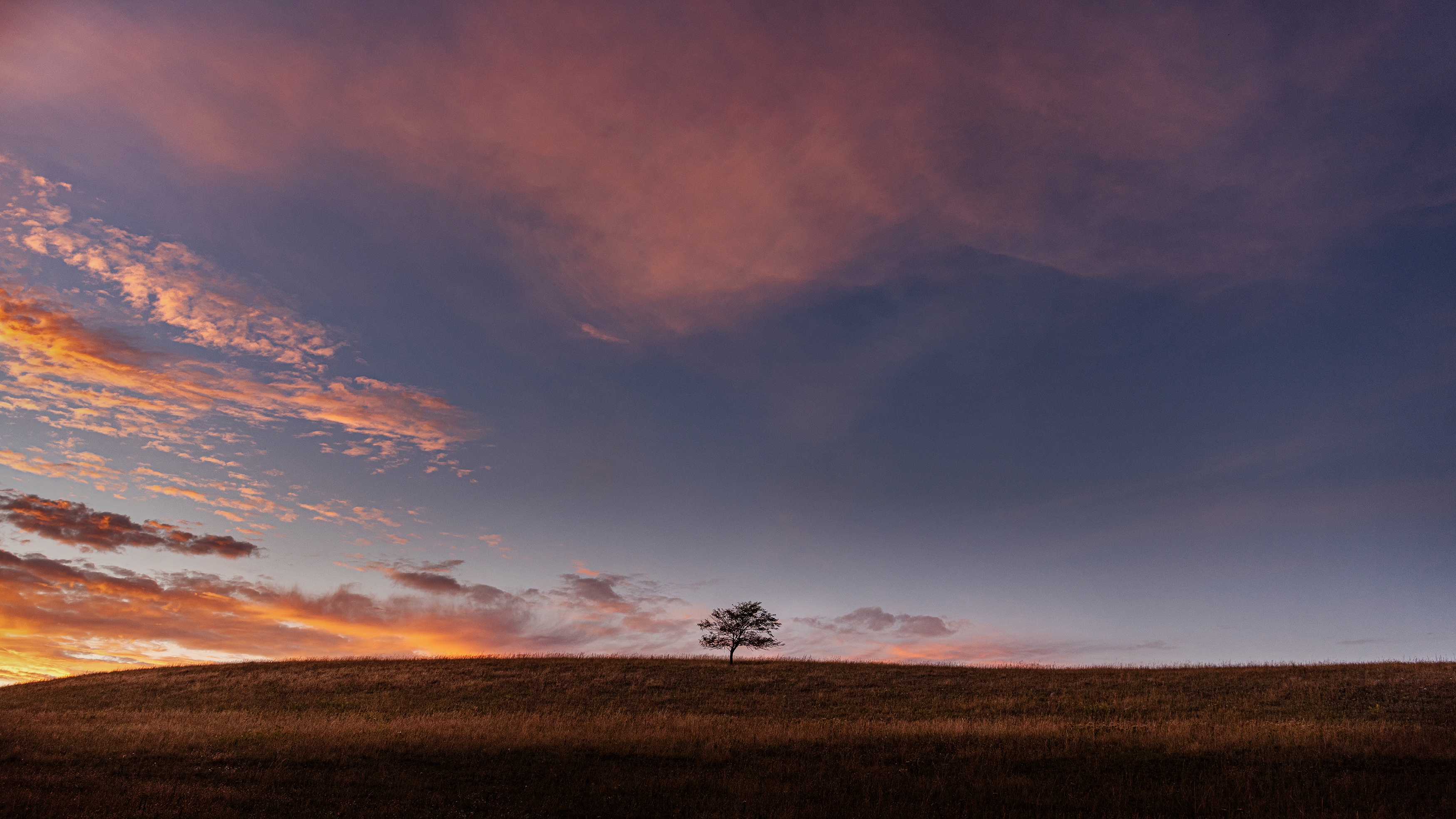 20211013-_DSC0573copy