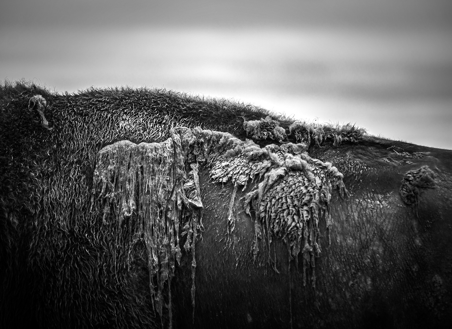 _DSC6610