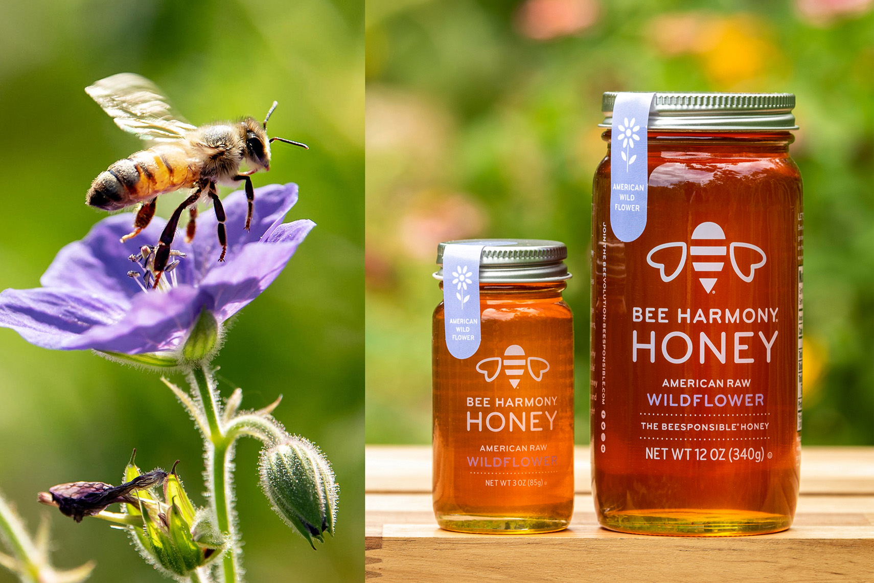 Bee Harmony Products Shoot #1