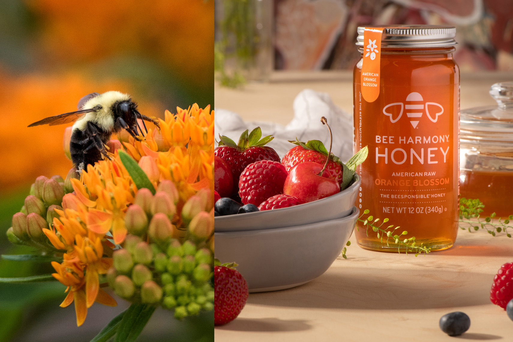 Bee Harmony Products Shoot #1